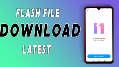 flash file download